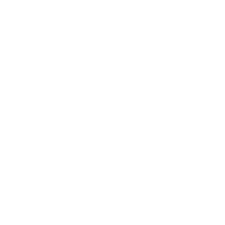 CapCut